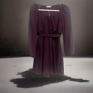 Elegant Purple Dress with Sheer Sleeves